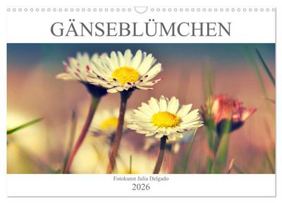 Gänseblümchen Poesie (Wandkalender 2026 DIN A3 quer), CALVENDO Monatskalender