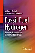 Fossil Fuel Hydrogen