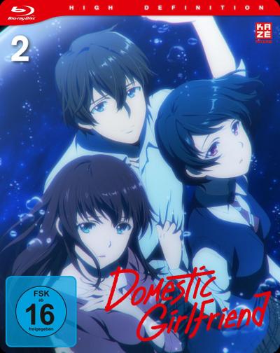Domestic Girlfriend