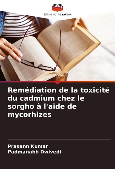 Remédiation de la toxicité du cadmium chez le sorgho à l’aide de mycorhizes