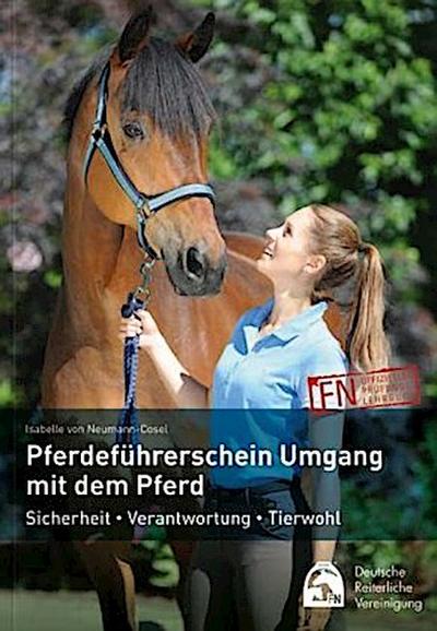 Pferdeführerschein Umgang mit dem Pferd