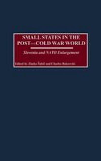 Small States in the Post-Cold War World