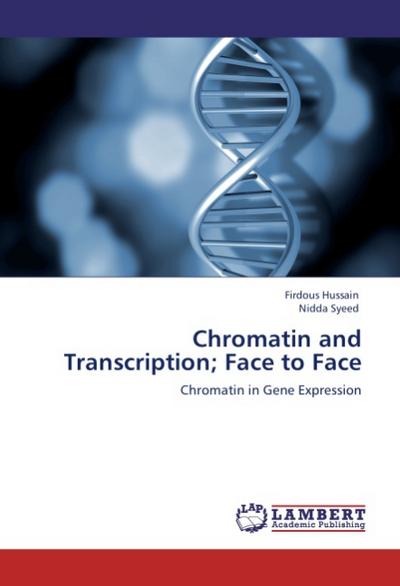 Chromatin and Transcription; Face to Face