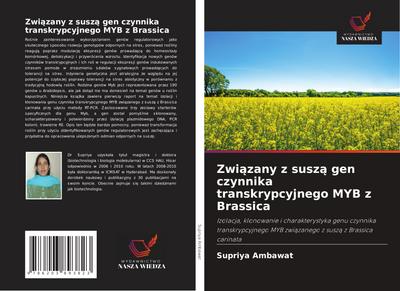 Zwi¿zany z susz¿ gen czynnika transkrypcyjnego MYB z Brassica