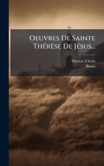 Oeuvres De Sainte ThÃ(c)rèse De JÃ(c)sus...