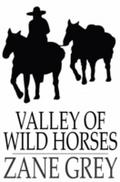 Valley of Wild Horses