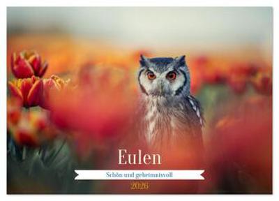 Eulen - schön und geheimnisvoll (Wandkalender 2026 DIN A3 quer), CALVENDO Monatskalender