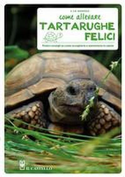 Come allevare tartarughe felici