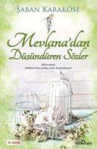 Mevlanadan Düsündüren Sözler
