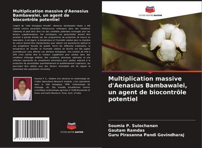 Multiplication massive d’Aenasius Bambawalei, un agent de biocontrôle potentiel