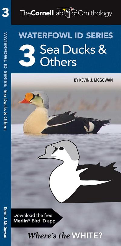 Cornell Lab of Ornithology Waterfowl Id Series: 3 Sea Ducks & Others