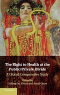The Right to Health at the Public/Private             Divide
