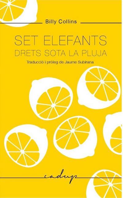 Set elefants drets sota la pluja