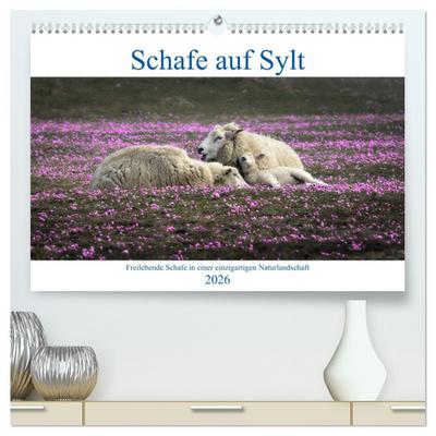 Schafe auf Sylt (hochwertiger Premium Wandkalender 2026 DIN A2 quer), Kunstdruck in Hochglanz