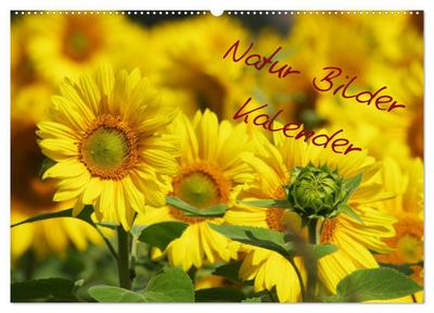 Natur Bilder Kalender (Wandkalender 2025 DIN A2 quer), CALVENDO Monatskalender