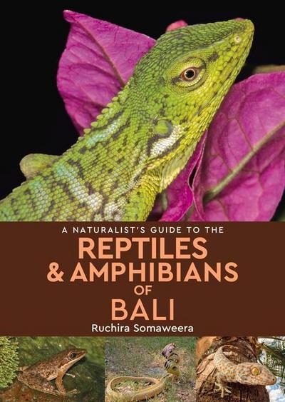 A Naturalist’s Guide to the Reptiles & Amphibians of Bali