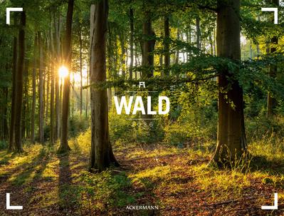 Wald Gallery Kalender 2026