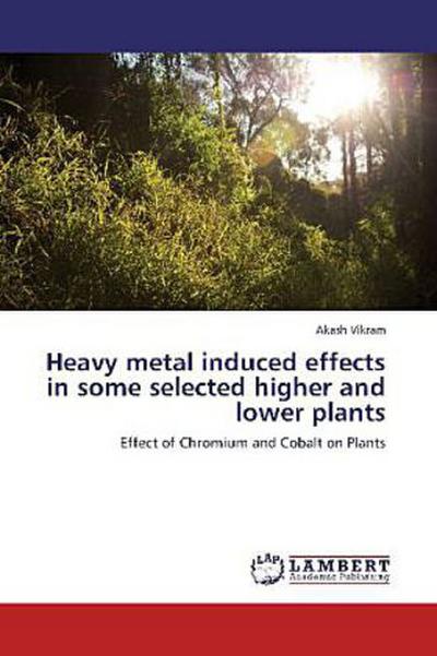 Heavy metal induced effects in some selected higher and lower plants