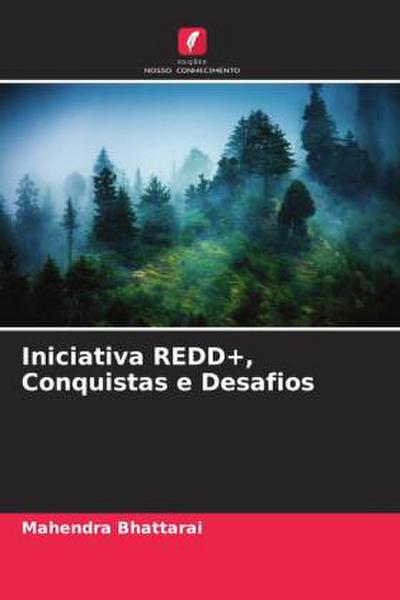 Iniciativa REDD+, Conquistas e Desafios