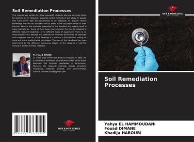 Soil Remediation Processes