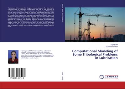 Computational Modeling of Some Tribological Problems in Lubrication