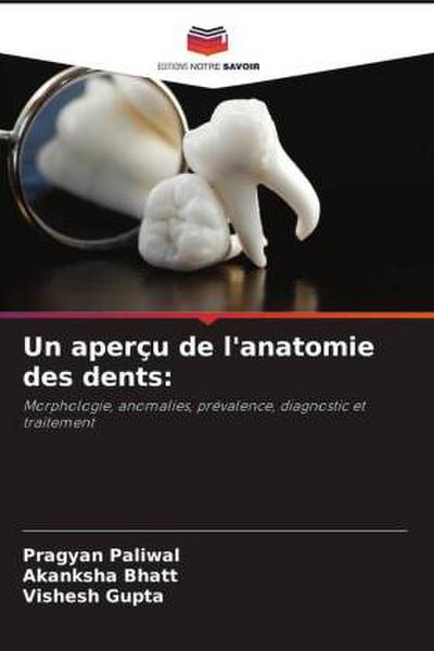 Un aperçu de l’anatomie des dents: