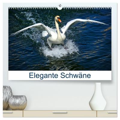 Elegante Schwäne (hochwertiger Premium Wandkalender 2026 DIN A2 quer), Kunstdruck in Hochglanz