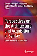 Perspectives on the Architecture and Acquisition of Syntax