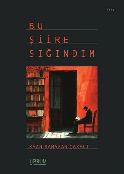 Bu Siire Sigindim