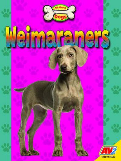 Weimaraners
