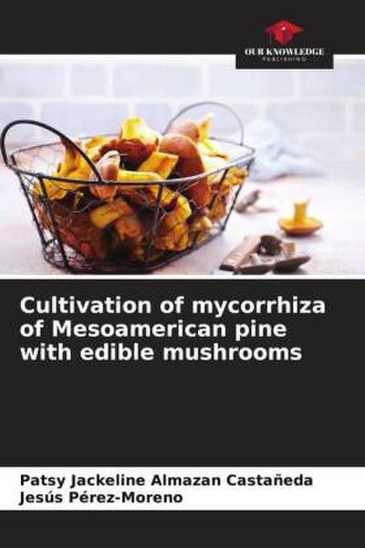 Cultivation of mycorrhiza of Mesoamerican pine with edible mushrooms