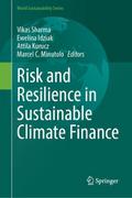 Risk and Resilience in Sustainable Climate Finance