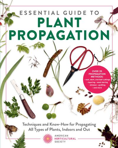 Essential Guide to Plant Propagation