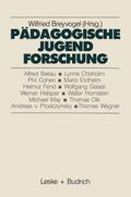 Pädagogische Jugendforschung