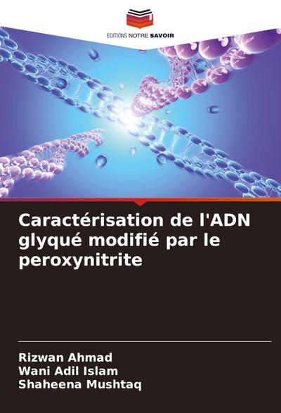 Caractérisation de l’ADN glyqué modifié par le peroxynitrite