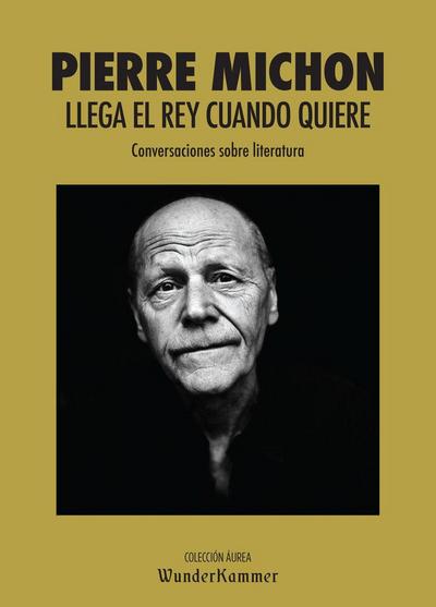 Llega el rey cuando quiere : conversaciones sobre literatura