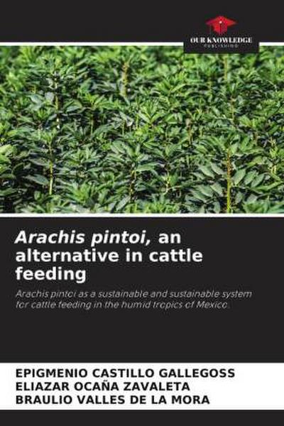Arachis pintoi, an alternative in cattle feeding