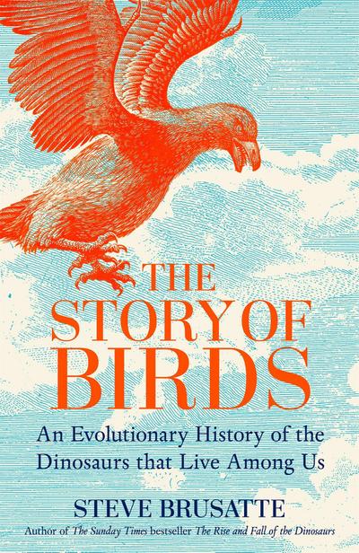 The Story of Birds