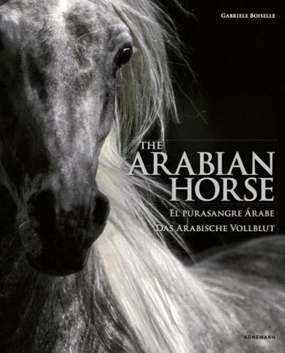 Arabian Horses