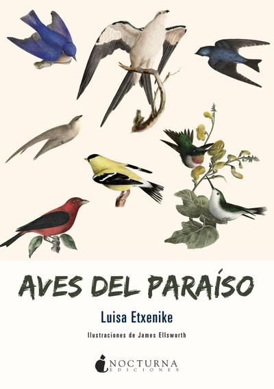 Aves del paraíso