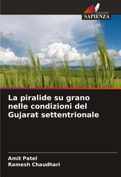 La piralide su grano nelle condizioni del Gujarat settentrionale