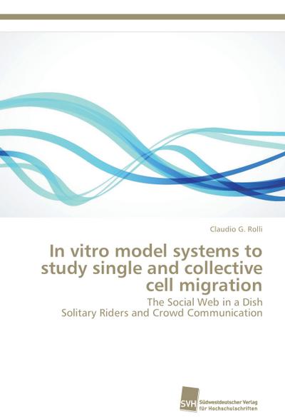 In vitro model systems to study single and collective cell migration
