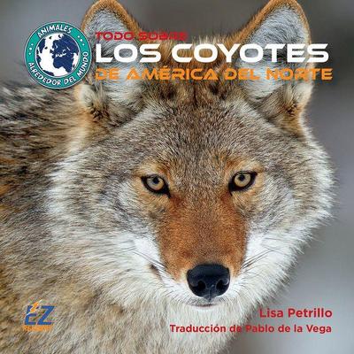 Todo Sobre Los Coyotes de América del Norte