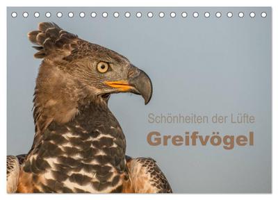 Schönheiten der Lüfte - Greifvögel (Tischkalender 2025 DIN A5 quer), CALVENDO Monatskalender