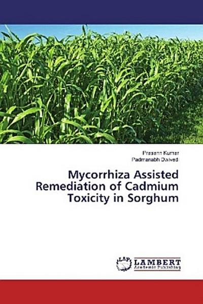 Mycorrhiza Assisted Remediation of Cadmium Toxicity in Sorghum