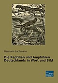 Die Reptilien und Amphibien Deutschlands in Wort und Bild