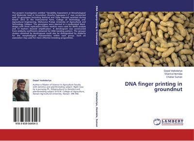 DNA finger printing in groundnut