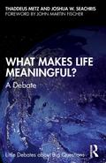 What Makes Life Meaningful?