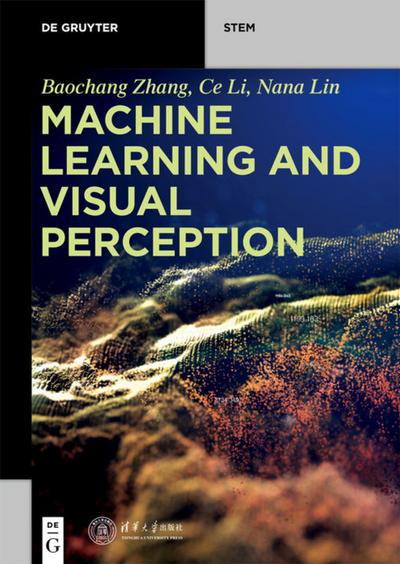 Machine Learning and Visual Perception