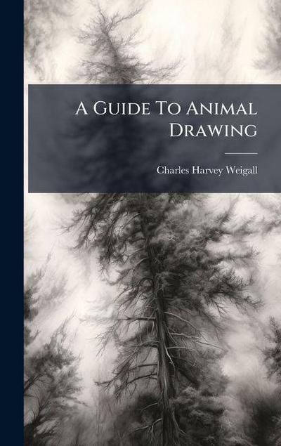 A Guide To Animal Drawing